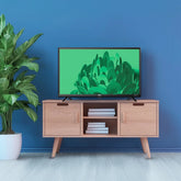 24” Class HD (720P) LED Roku Smart Television (100012590)