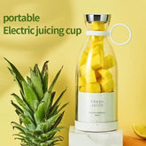 Portable Mini Fruit Blender– Fresh Smoothies Anytime, Anywhere